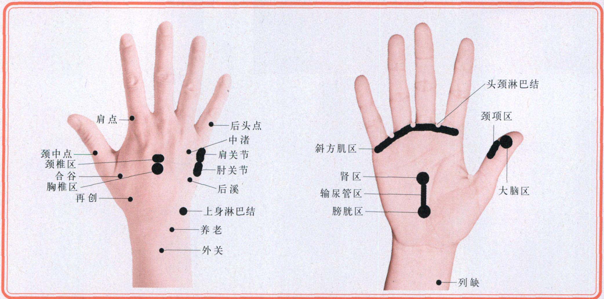 二十九、肩周炎
